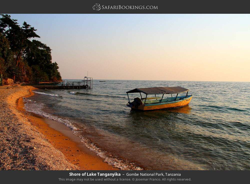 Shore of Lake Tanganyika in Gombe National Park, Tanzania