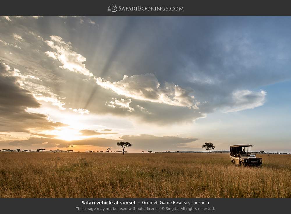 Safari vehicle at sunset in Grumeti Game Reserve, Tanzania
