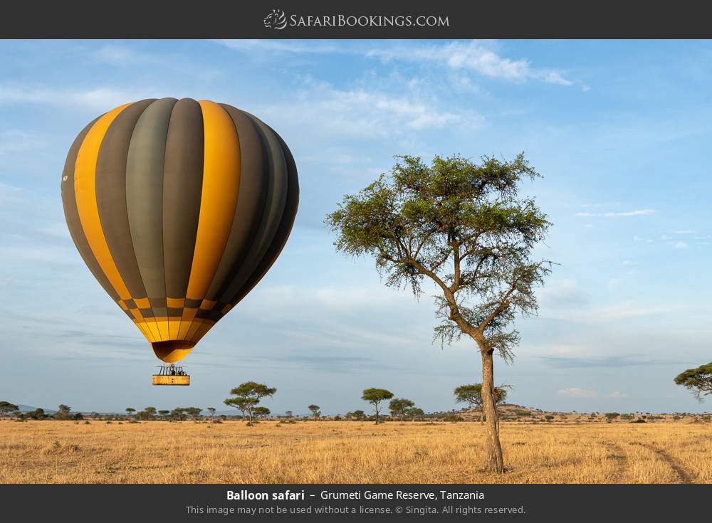 Hot-air balloon safari in Grumeti Game Reserve, Tanzania