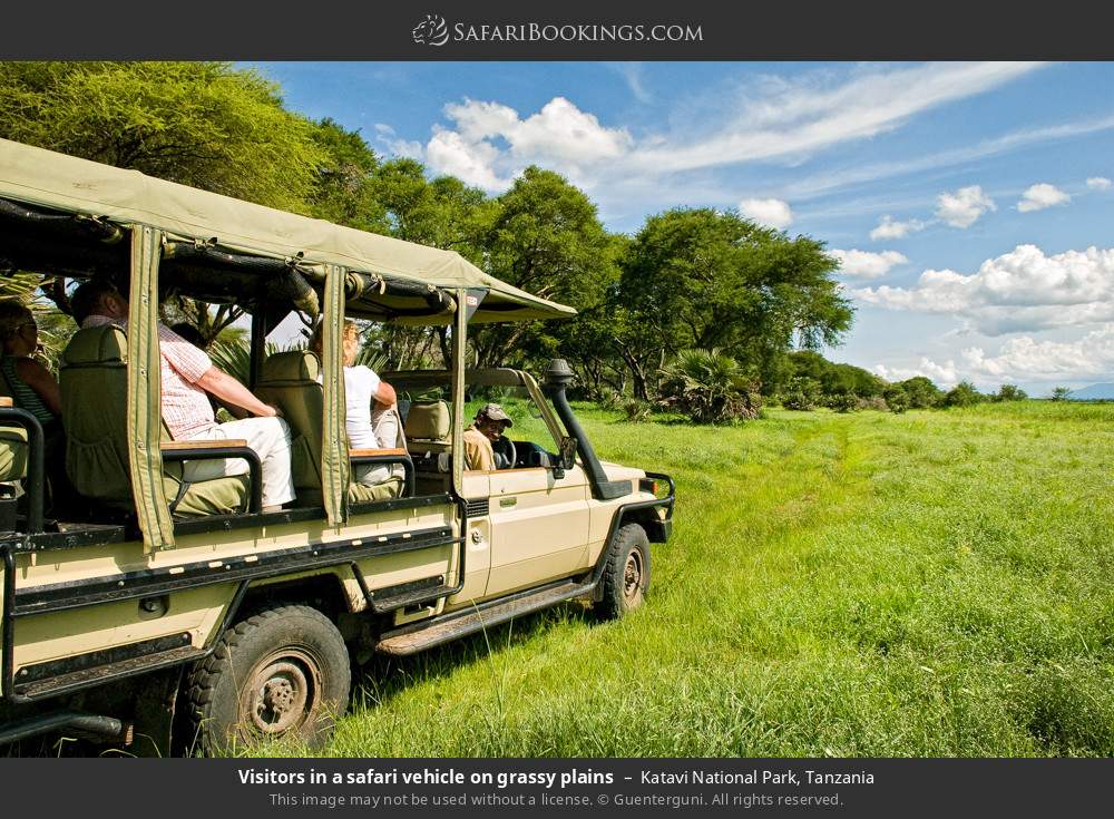 Visitors in a safari vehicle on grassy plains in Katavi National Park, Tanzania