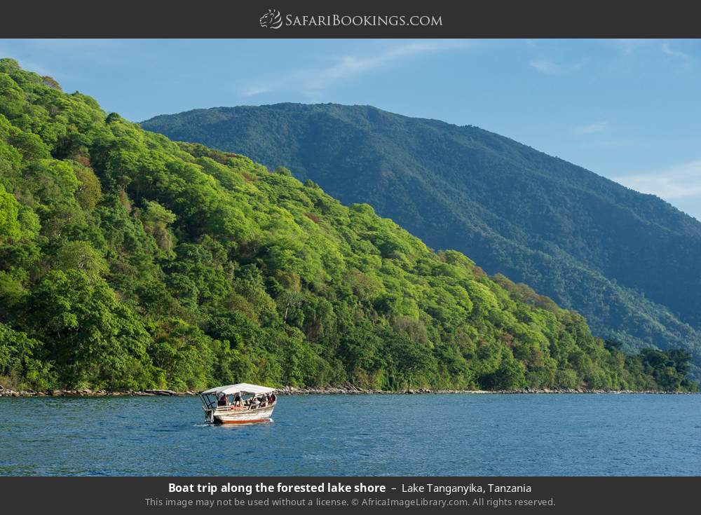 Boat trip along the forested lakeshore in Lake Tanganyika, Tanzania