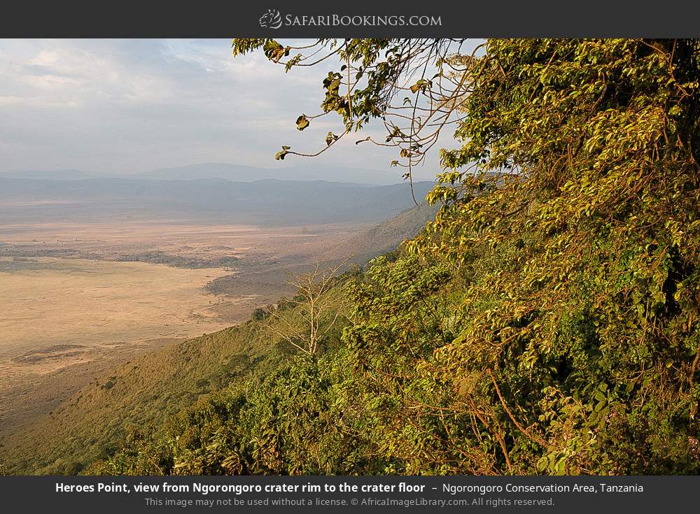 View from Ngorongoro Crater rim to the crater floor at Heroes Point in Ngorongoro Conservation Area, Tanzania