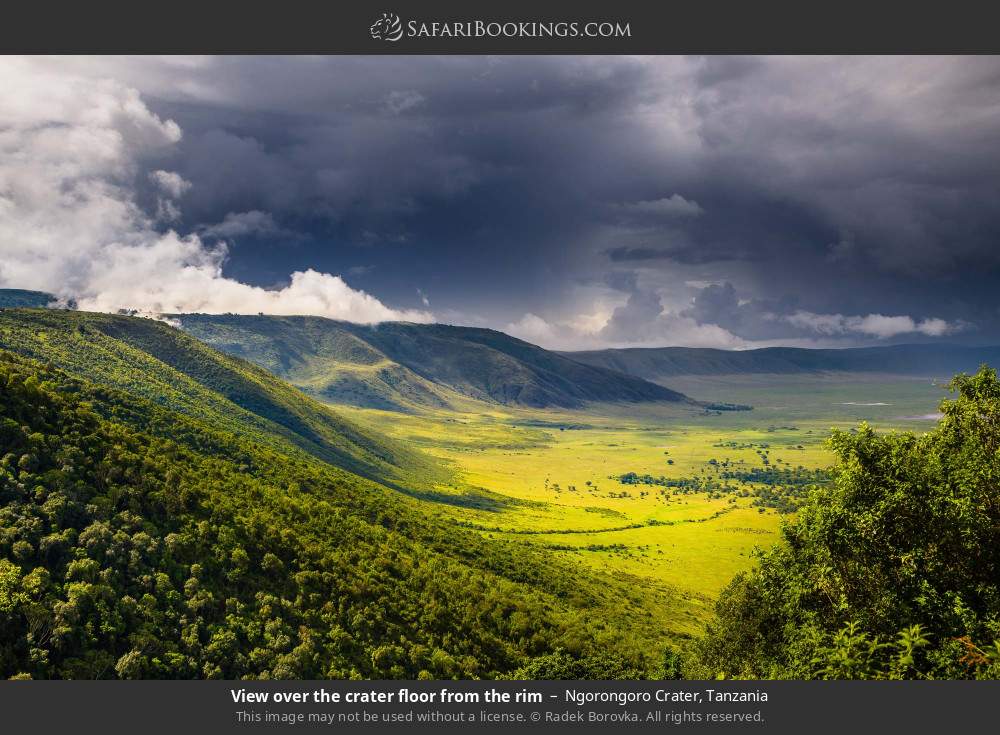 View over the crater floor from the rim in Ngorongoro Crater, Tanzania