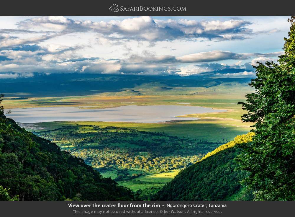 View over the crater floor from the rim in Ngorongoro Crater, Tanzania
