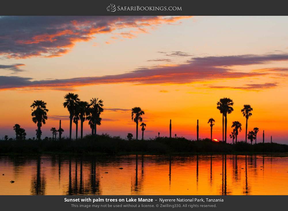Sunset with palm trees on Lake Manze in Nyerere National Park, Tanzania