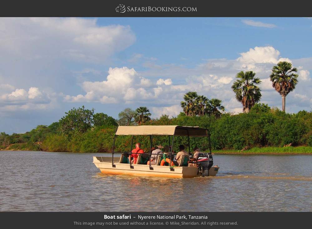 Boat safari in Nyerere National Park, Tanzania