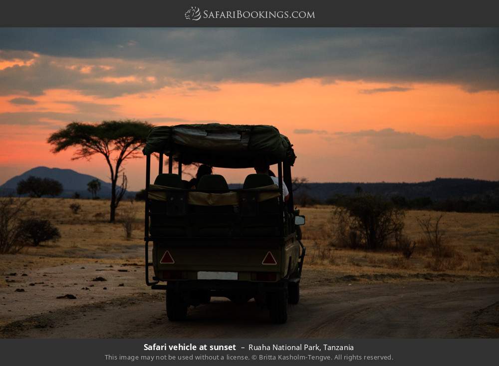 Tanzania Safari: 5-Day Unforgettable Safari to Iconic National Parks