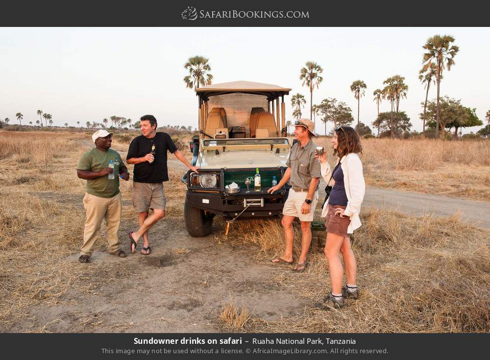 Tanzania Safari: 2-day Extraordinary Amaizing Fly In Safari