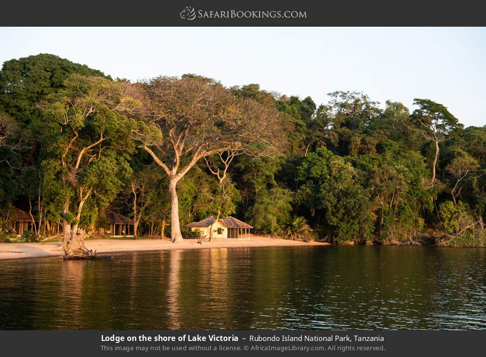 Lodge on the shore of Lake Victoria in Rubondo Island National Park, Tanzania