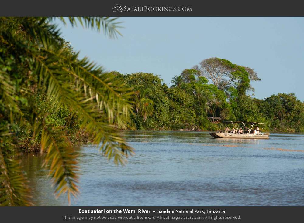 Boat safari on the Wami River in Saadani National Park, Tanzania