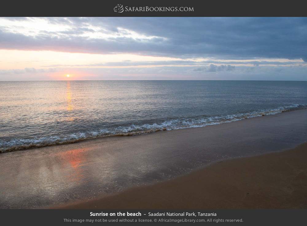 Sunrise on the beach in Saadani National Park, Tanzania