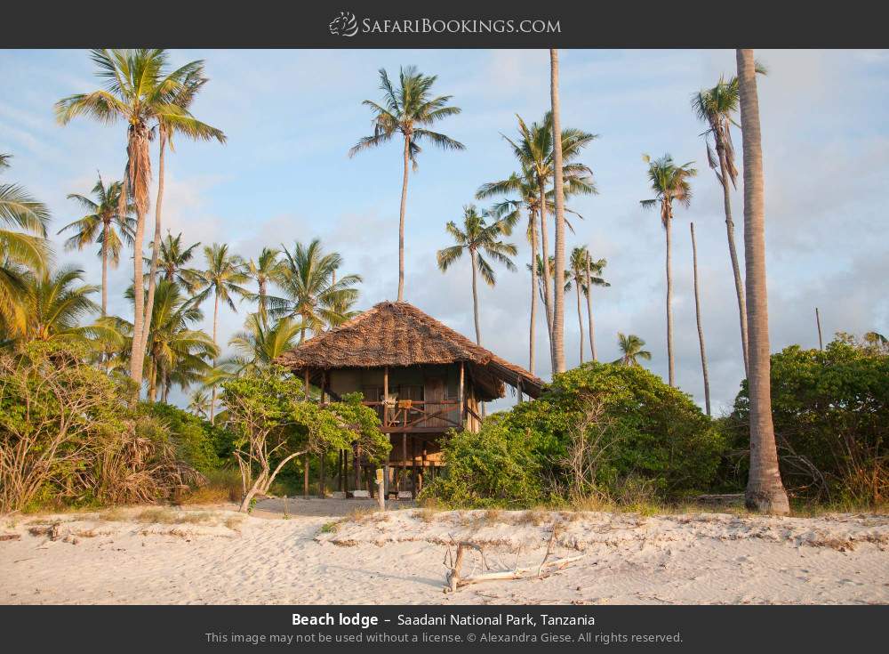 Beach lodge in Saadani National Park, Tanzania