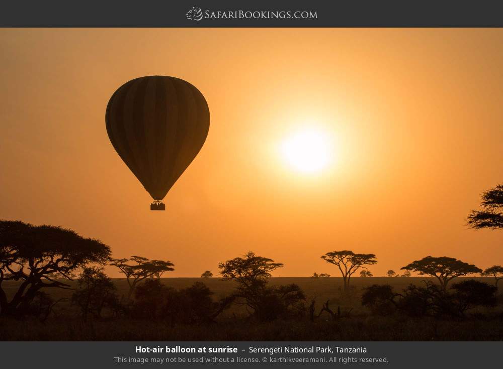 Hot-air balloon at sunrise in Serengeti National Park, Tanzania