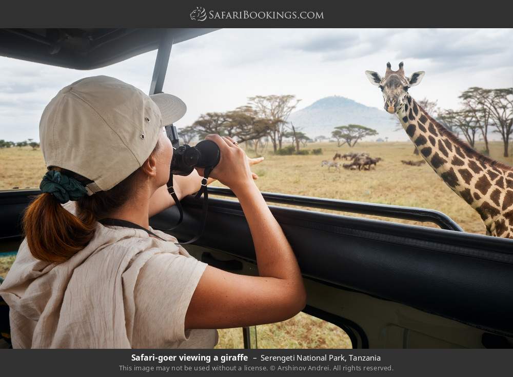 Tanzania Safari: 4-Day Safari Trio Lake Manyara, Serengeti & Ngorongoro