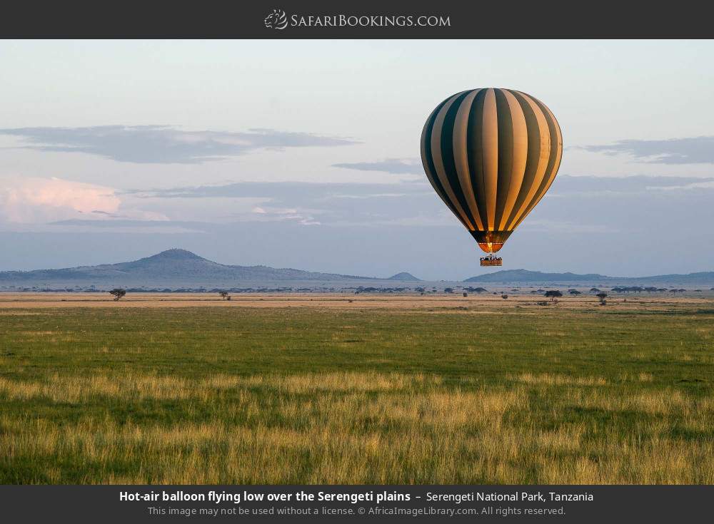 Hot-air balloon flying low over the Serengeti plains in Serengeti National Park, Tanzania