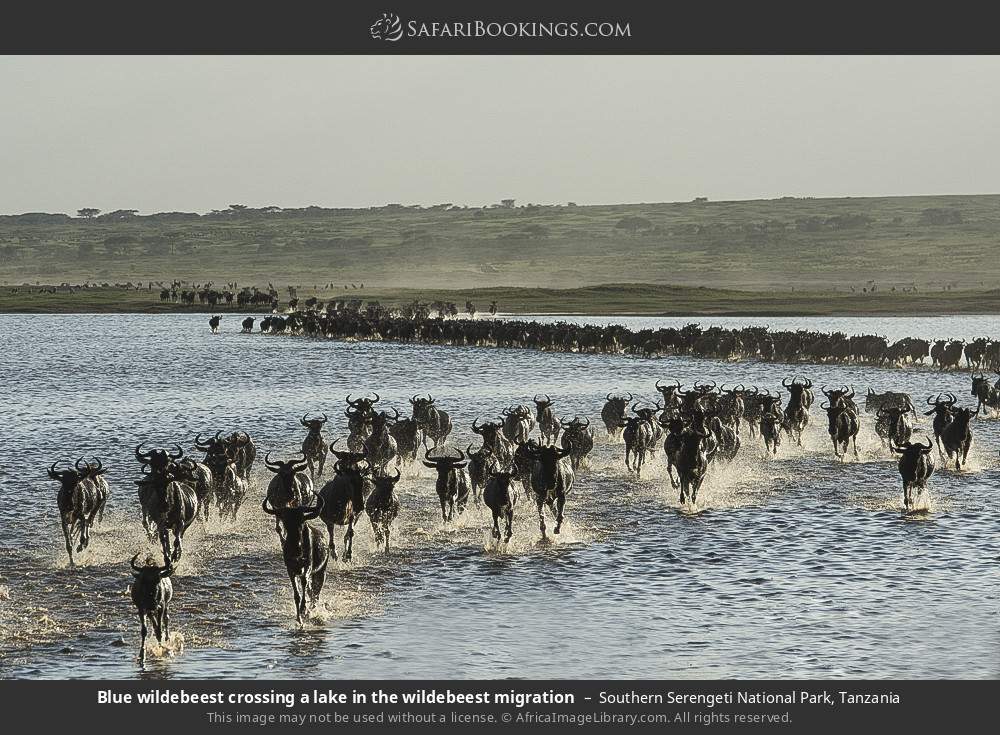 13-Day Kenya, Tanzania Safari & Beach Escape
