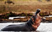 Lake Manyara National Park