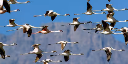 Arusha National Park