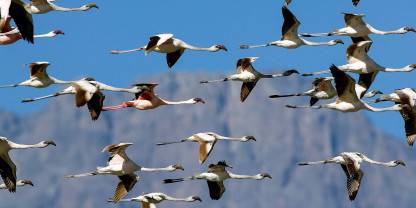 Arusha National Park