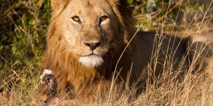Grumeti Game Reserve
