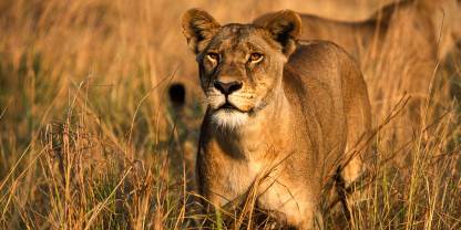 Katavi National Park
