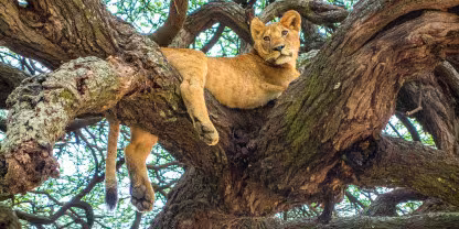 Lake Manyara National Park