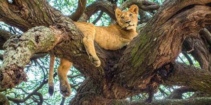 Lake Manyara National Park