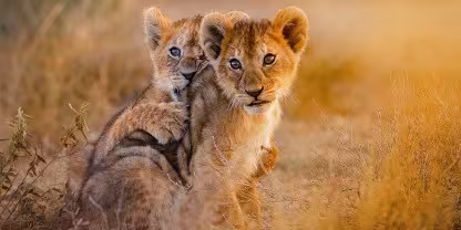 Ngorongoro Crater