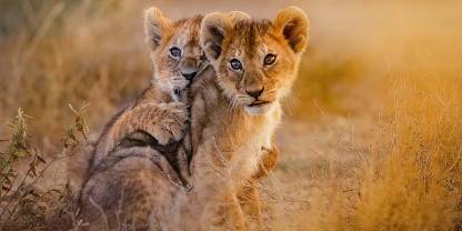 Ngorongoro Crater