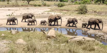 Tarangire National Park