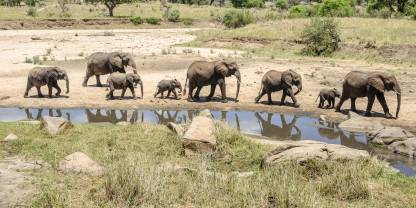 Tarangire National Park