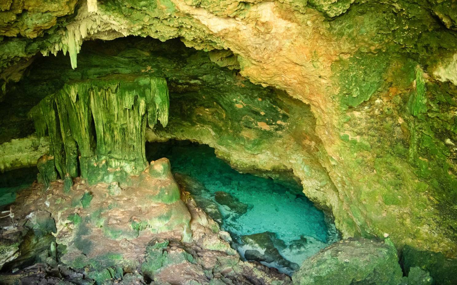 Natural swimming pool