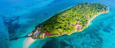 Aerial view of the forested island