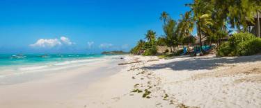 Palm-lined beach at Michamvi Pingwe