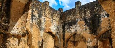 Mtoni Palace Ruins