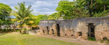 Mtoni Palace Ruins