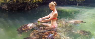 Visitor feeding green turtles at Nungwi Mnarani Aquarium