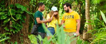 Spice farm tour
