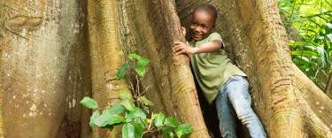 Child at a kapok tree (also known as drum tree)