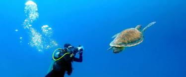 Scuba diver swimming with a turtle