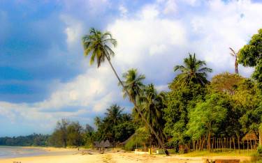 Thumbnail of Palm-lined beach