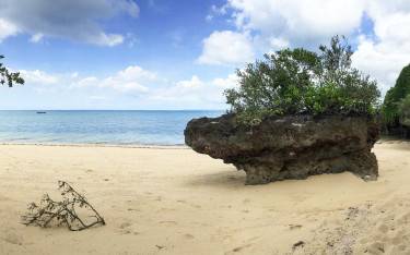 Rocky outcrops on the beach