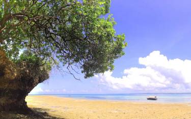 Rocky outcrops on the beach