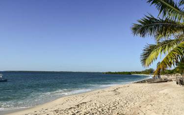 Thumbnail of Sandy palm-lined beach