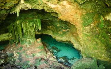 Natural swimming pool