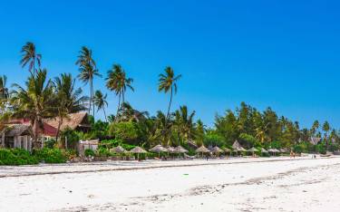 Palm-lined sandy beach