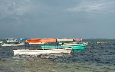 Thumbnail of Tourist boats