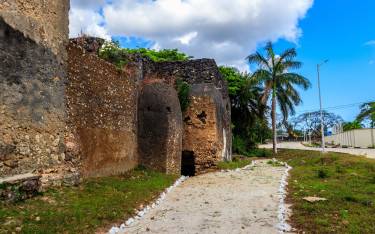 Mtoni Palace Ruins