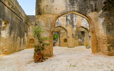 Mtoni Palace Ruins