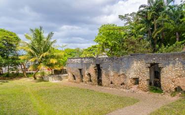 Mtoni Palace Ruins